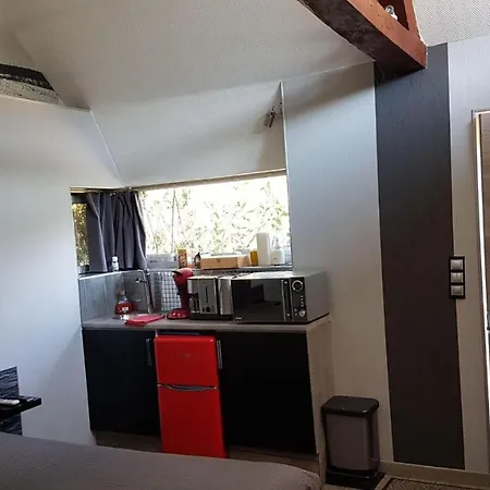 Chambre Mil Roses * Andé